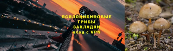прущие крисы Каменка