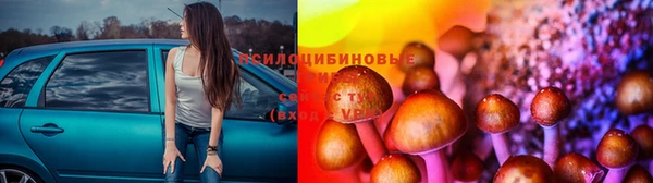 кокаин премиум Каменногорск