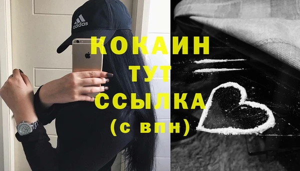 прущие крисы Каменка