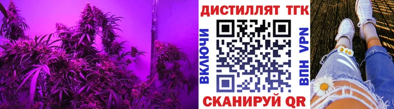 Купить  Будённовск  ТГК THC oil 